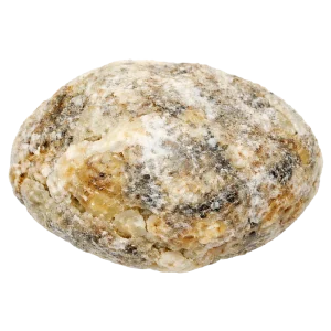 Ambergris perfume note