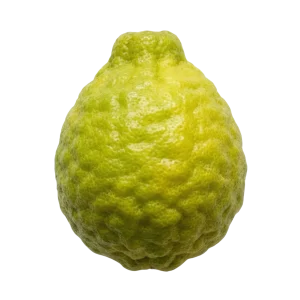 Bergamot perfume note