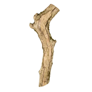 Blond Woods perfume note