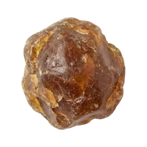 Fir Resin perfume note