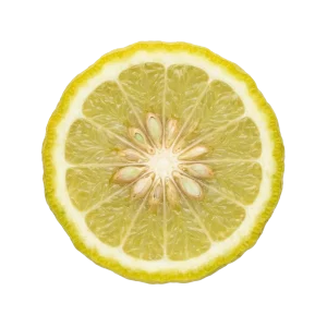 Sicilian Bergamot perfume note